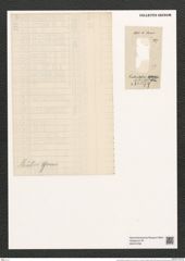 Grammatophora muelleri Grun. (de-Toni-Nr.: Genus 93, Species 3052) Zeichnungen Sammlung Grunow (NHMW-BOT-W0374766)